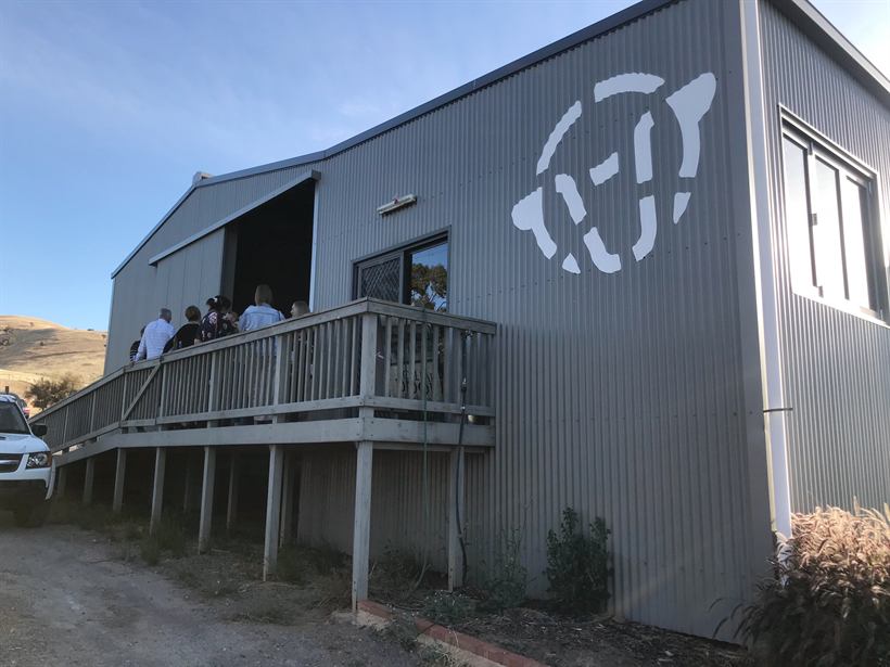 The Ashley Hills Estate cellar door with the sheep-face logo cut into the steel wall