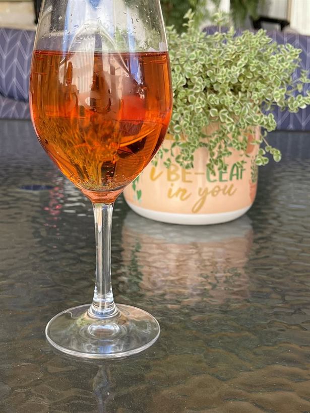 Glass of rosé beside a potted plant