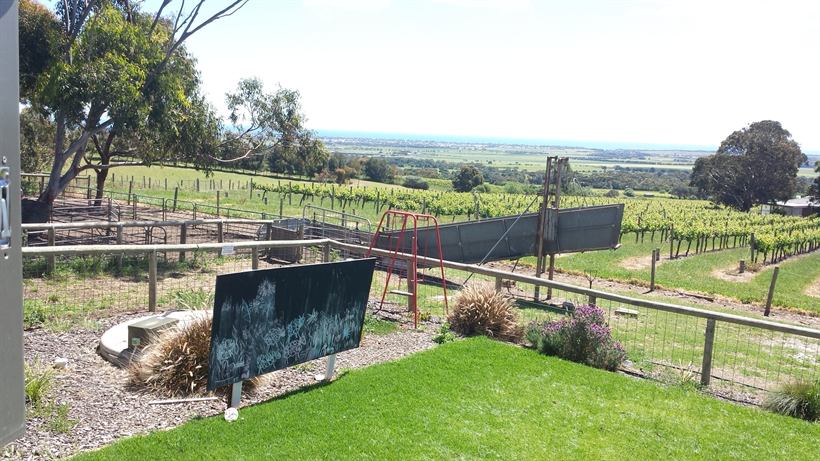 Lawn, vines and the estate sign with the coast beyond